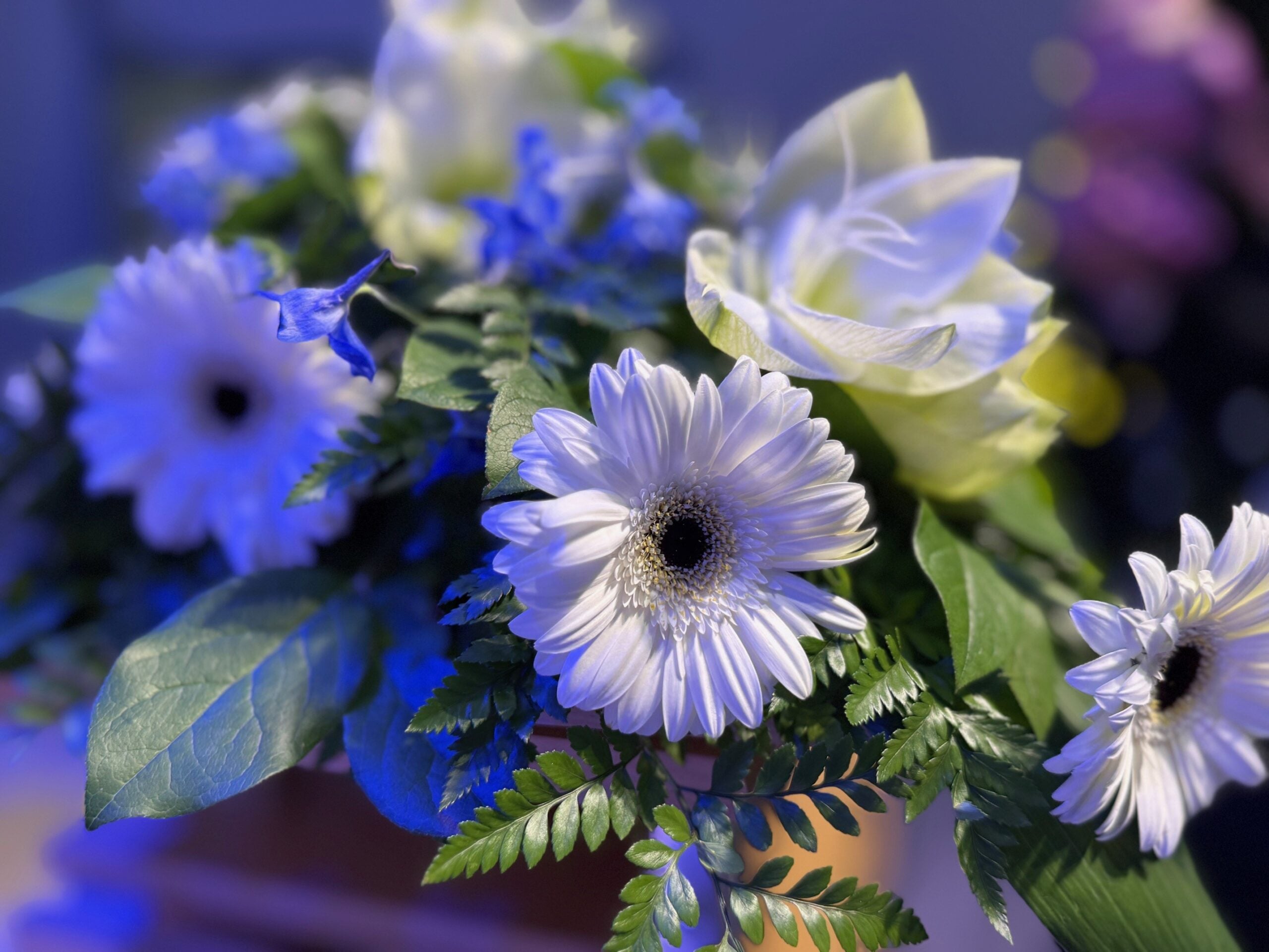 Itsenäisyyspäivän juhlaa vietettiin Kummun koululla