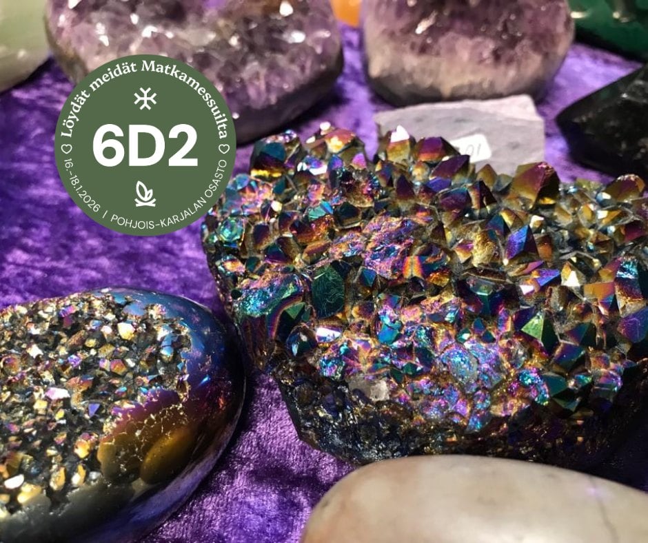 Matkamessut 2026 kuva