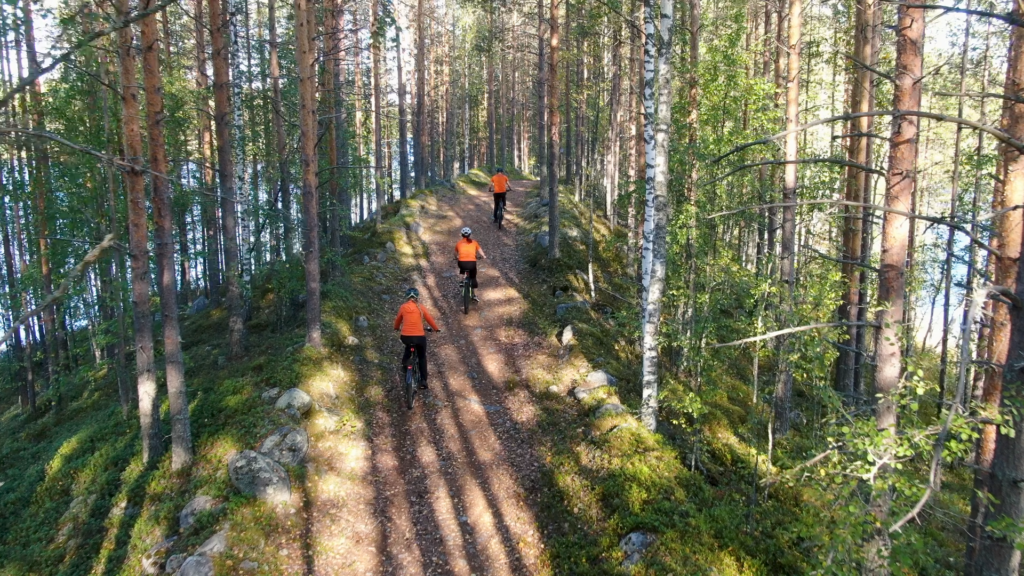 Kolme polkupyöräilijää harjumaisemassa.