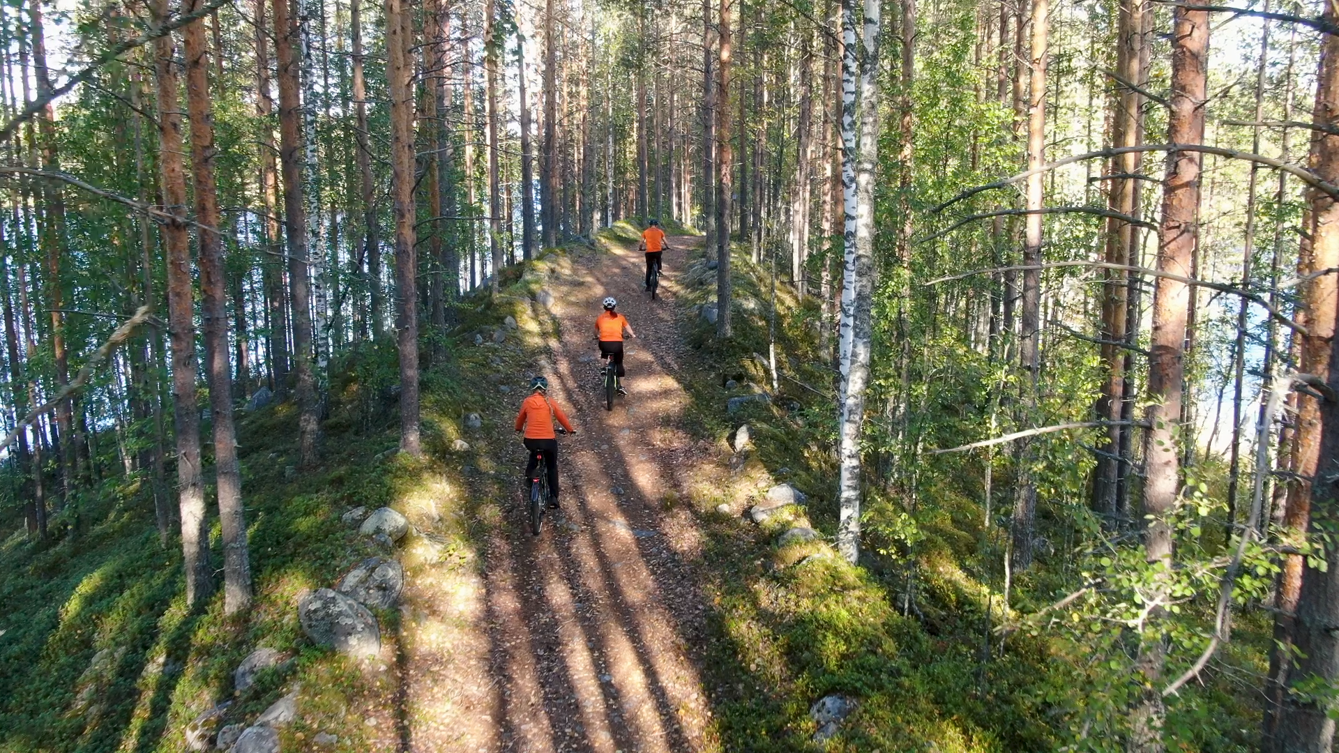 Kolme polkupyöräilijää harjumaisemassa.